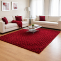 Deep Red Plush Area Rug – Soft, Luxurious Living Room Decor 3*5